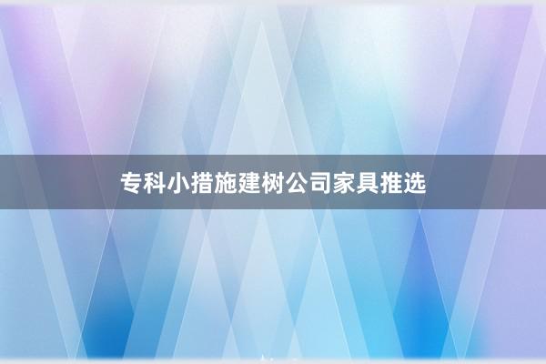 专科小措施建树公司家具推选