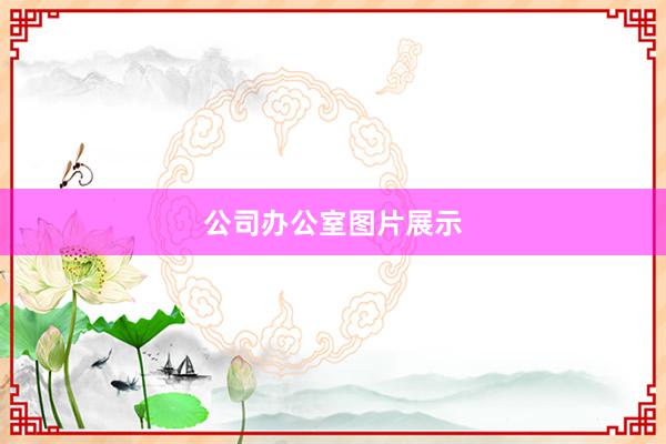 公司办公室图片展示