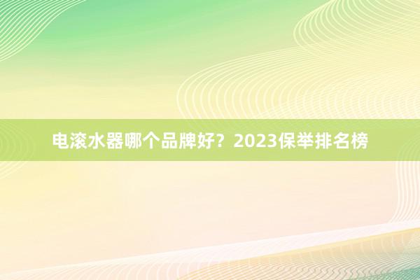 电滚水器哪个品牌好？2023保举排名榜