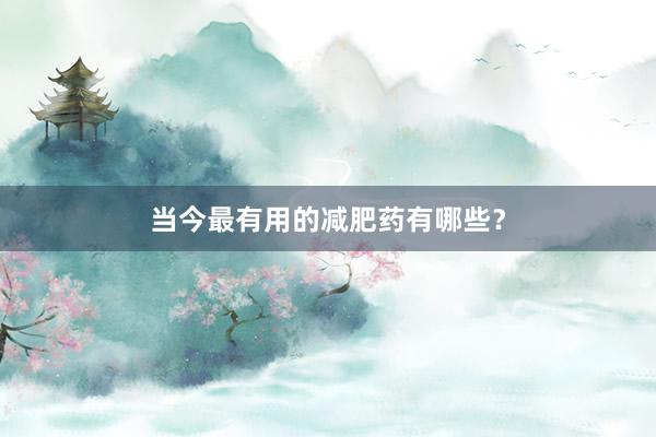 当今最有用的减肥药有哪些？